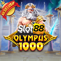 BOLO800
